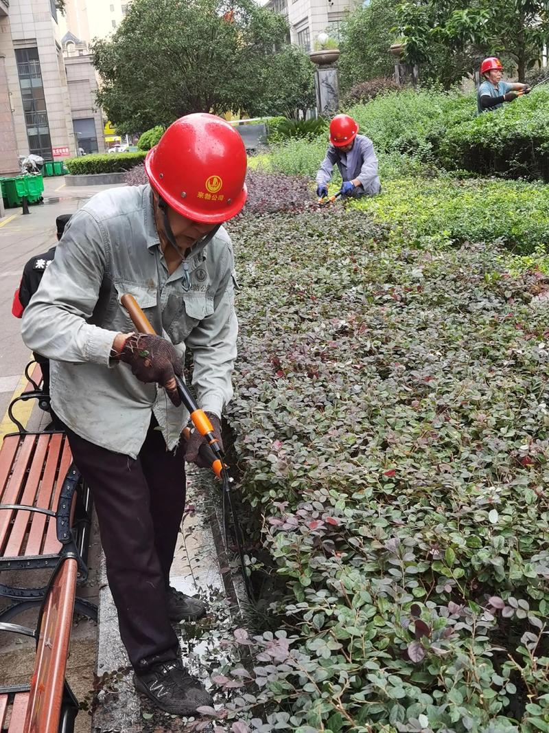 园林景观设计：跳出误区 打造理想空间